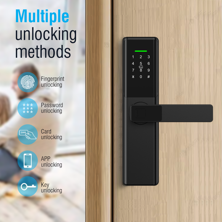 Smart Door Lock Wifi - 테안 스마트 디지털 도어락 전자 잠금장치